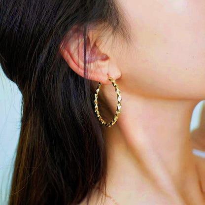 14K Gold-Plated Luxury Hoop Earrings